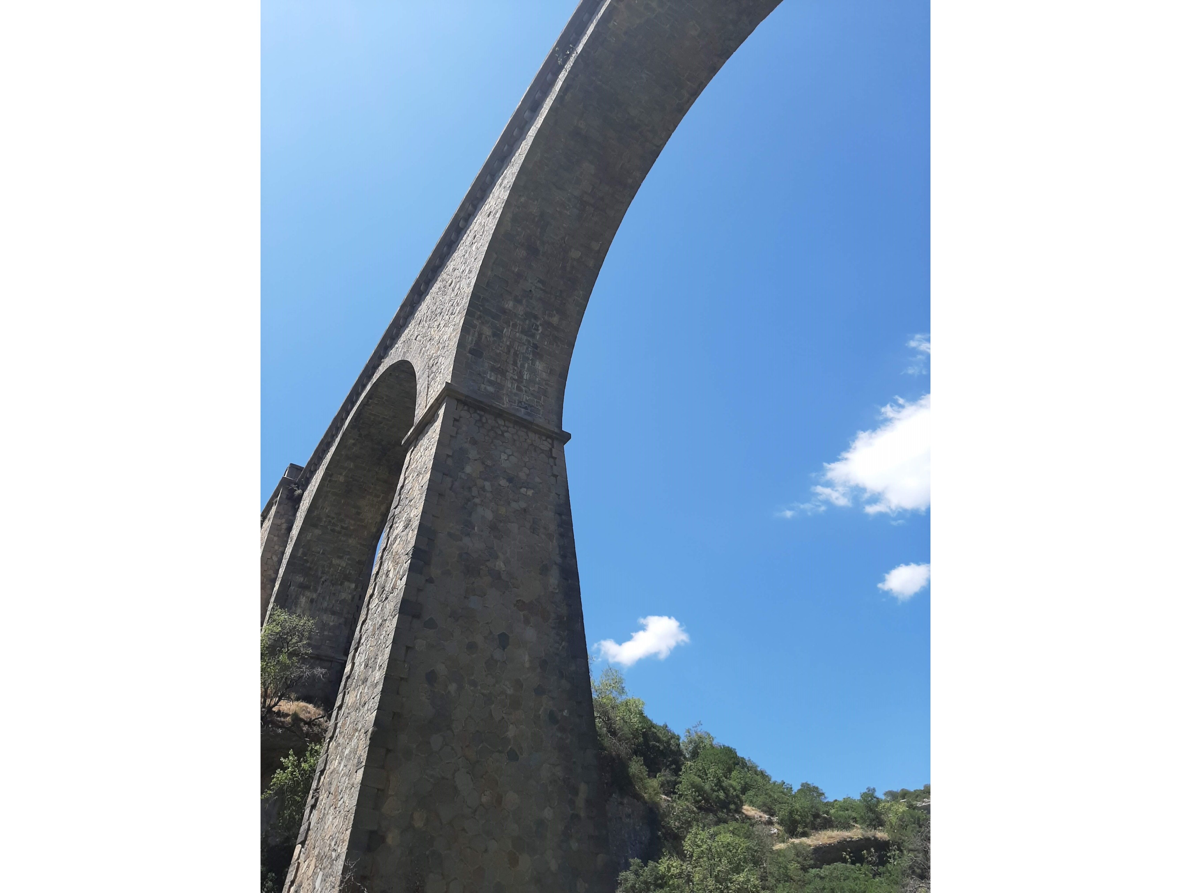 Minerve bridge