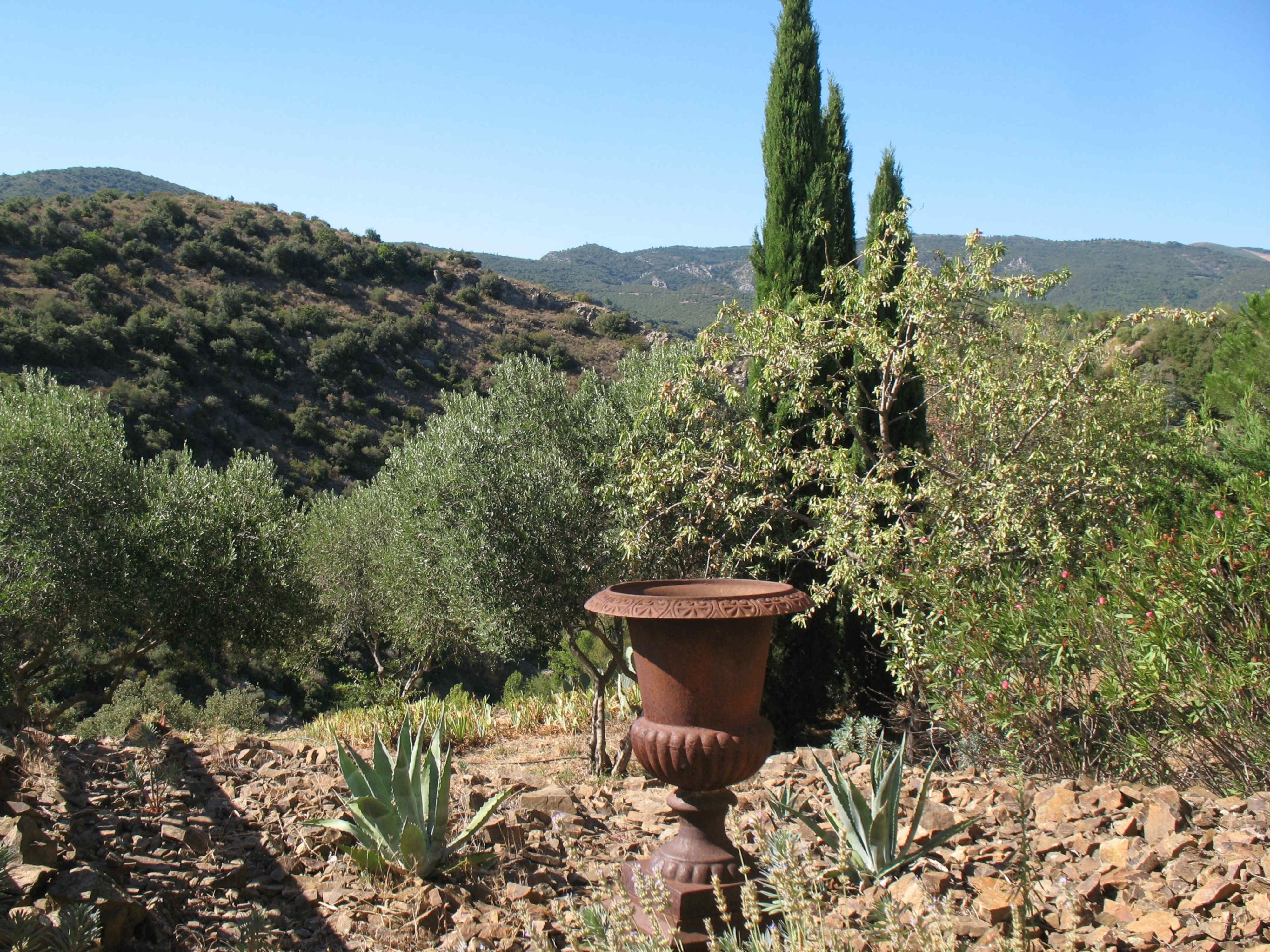 Urn in garden